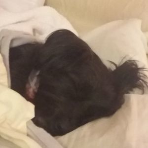 Meet your Posher, Almeda